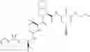 Fig. 1256 - Method for modulating activity of HCV protease through use of a novel HCV protease inhibitor to reduce duration of treatment period