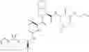 Fig. 1268 - Method for modulating activity of HCV protease through use of a novel HCV protease inhibitor to reduce duration of treatment period