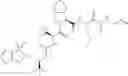 Fig. 1275 - Method for modulating activity of HCV protease through use of a novel HCV protease inhibitor to reduce duration of treatment period