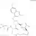 Fig. 15 - Method for modulating activity of HCV protease through use of a novel HCV protease inhibitor to reduce duration of treatment period