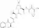 Fig. 204 - Method for modulating activity of HCV protease through use of a novel HCV protease inhibitor to reduce duration of treatment period