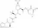 Fig. 206 - Method for modulating activity of HCV protease through use of a novel HCV protease inhibitor to reduce duration of treatment period