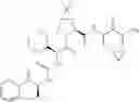 Fig. 209 - Method for modulating activity of HCV protease through use of a novel HCV protease inhibitor to reduce duration of treatment period