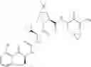 Fig. 219 - Method for modulating activity of HCV protease through use of a novel HCV protease inhibitor to reduce duration of treatment period