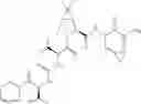 Fig. 241 - Method for modulating activity of HCV protease through use of a novel HCV protease inhibitor to reduce duration of treatment period