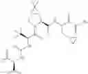 Fig. 248 - Method for modulating activity of HCV protease through use of a novel HCV protease inhibitor to reduce duration of treatment period