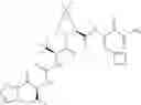 Fig. 255 - Method for modulating activity of HCV protease through use of a novel HCV protease inhibitor to reduce duration of treatment period