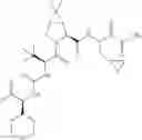 Fig. 259 - Method for modulating activity of HCV protease through use of a novel HCV protease inhibitor to reduce duration of treatment period