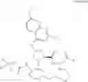 Fig. 26 - Method for modulating activity of HCV protease through use of a novel HCV protease inhibitor to reduce duration of treatment period