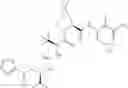 Fig. 263 - Method for modulating activity of HCV protease through use of a novel HCV protease inhibitor to reduce duration of treatment period