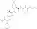 Fig. 300 - Method for modulating activity of HCV protease through use of a novel HCV protease inhibitor to reduce duration of treatment period