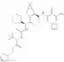 Fig. 315 - Method for modulating activity of HCV protease through use of a novel HCV protease inhibitor to reduce duration of treatment period