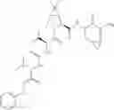 Fig. 328 - Method for modulating activity of HCV protease through use of a novel HCV protease inhibitor to reduce duration of treatment period