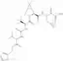 Fig. 332 - Method for modulating activity of HCV protease through use of a novel HCV protease inhibitor to reduce duration of treatment period