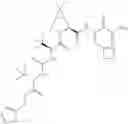 Fig. 333 - Method for modulating activity of HCV protease through use of a novel HCV protease inhibitor to reduce duration of treatment period