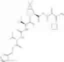 Fig. 335 - Method for modulating activity of HCV protease through use of a novel HCV protease inhibitor to reduce duration of treatment period