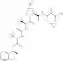 Fig. 351 - Method for modulating activity of HCV protease through use of a novel HCV protease inhibitor to reduce duration of treatment period