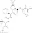 Fig. 378 - Method for modulating activity of HCV protease through use of a novel HCV protease inhibitor to reduce duration of treatment period
