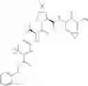 Fig. 382 - Method for modulating activity of HCV protease through use of a novel HCV protease inhibitor to reduce duration of treatment period