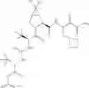 Fig. 388 - Method for modulating activity of HCV protease through use of a novel HCV protease inhibitor to reduce duration of treatment period