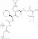 Fig. 407 - Method for modulating activity of HCV protease through use of a novel HCV protease inhibitor to reduce duration of treatment period