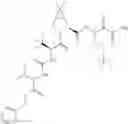 Fig. 416 - Method for modulating activity of HCV protease through use of a novel HCV protease inhibitor to reduce duration of treatment period