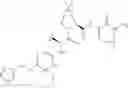 Fig. 439 - Method for modulating activity of HCV protease through use of a novel HCV protease inhibitor to reduce duration of treatment period