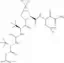 Fig. 442 - Method for modulating activity of HCV protease through use of a novel HCV protease inhibitor to reduce duration of treatment period