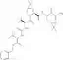 Fig. 447 - Method for modulating activity of HCV protease through use of a novel HCV protease inhibitor to reduce duration of treatment period