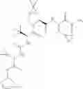 Fig. 479 - Method for modulating activity of HCV protease through use of a novel HCV protease inhibitor to reduce duration of treatment period