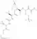 Fig. 502 - Method for modulating activity of HCV protease through use of a novel HCV protease inhibitor to reduce duration of treatment period