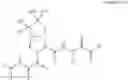 Fig. 51 - Method for modulating activity of HCV protease through use of a novel HCV protease inhibitor to reduce duration of treatment period