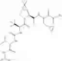 Fig. 542 - Method for modulating activity of HCV protease through use of a novel HCV protease inhibitor to reduce duration of treatment period