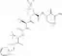 Fig. 558 - Method for modulating activity of HCV protease through use of a novel HCV protease inhibitor to reduce duration of treatment period