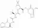 Fig. 582 - Method for modulating activity of HCV protease through use of a novel HCV protease inhibitor to reduce duration of treatment period