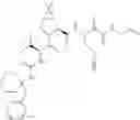 Fig. 618 - Method for modulating activity of HCV protease through use of a novel HCV protease inhibitor to reduce duration of treatment period