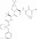 Fig. 623 - Method for modulating activity of HCV protease through use of a novel HCV protease inhibitor to reduce duration of treatment period