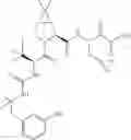 Fig. 629 - Method for modulating activity of HCV protease through use of a novel HCV protease inhibitor to reduce duration of treatment period
