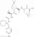 Fig. 632 - Method for modulating activity of HCV protease through use of a novel HCV protease inhibitor to reduce duration of treatment period