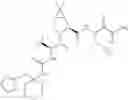 Fig. 641 - Method for modulating activity of HCV protease through use of a novel HCV protease inhibitor to reduce duration of treatment period