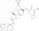 Fig. 644 - Method for modulating activity of HCV protease through use of a novel HCV protease inhibitor to reduce duration of treatment period