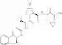 Fig. 648 - Method for modulating activity of HCV protease through use of a novel HCV protease inhibitor to reduce duration of treatment period