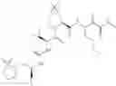 Fig. 714 - Method for modulating activity of HCV protease through use of a novel HCV protease inhibitor to reduce duration of treatment period