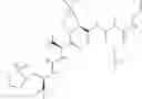 Fig. 741 - Method for modulating activity of HCV protease through use of a novel HCV protease inhibitor to reduce duration of treatment period