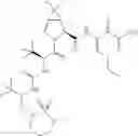 Fig. 746 - Method for modulating activity of HCV protease through use of a novel HCV protease inhibitor to reduce duration of treatment period