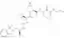 Fig. 764 - Method for modulating activity of HCV protease through use of a novel HCV protease inhibitor to reduce duration of treatment period