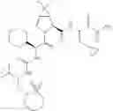 Fig. 769 - Method for modulating activity of HCV protease through use of a novel HCV protease inhibitor to reduce duration of treatment period