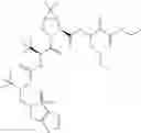 Fig. 845 - Method for modulating activity of HCV protease through use of a novel HCV protease inhibitor to reduce duration of treatment period