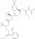Fig. 869 - Method for modulating activity of HCV protease through use of a novel HCV protease inhibitor to reduce duration of treatment period