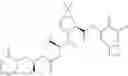 Fig. 893 - Method for modulating activity of HCV protease through use of a novel HCV protease inhibitor to reduce duration of treatment period